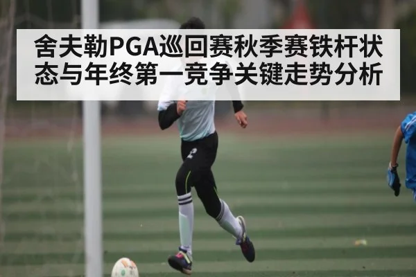 舍夫勒PGA巡回赛秋季赛铁杆状态与年终第一竞争关键走势分析